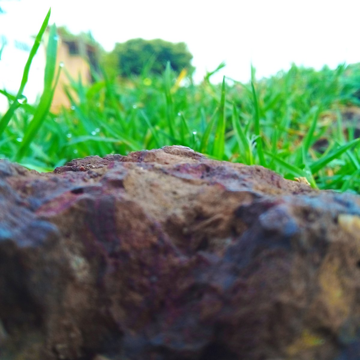 MapaxMothumedi's tweet photo. Rock be4 grass #wallpaper  #photography #lumi #awesomeday https://t.co/DrIperXYCR