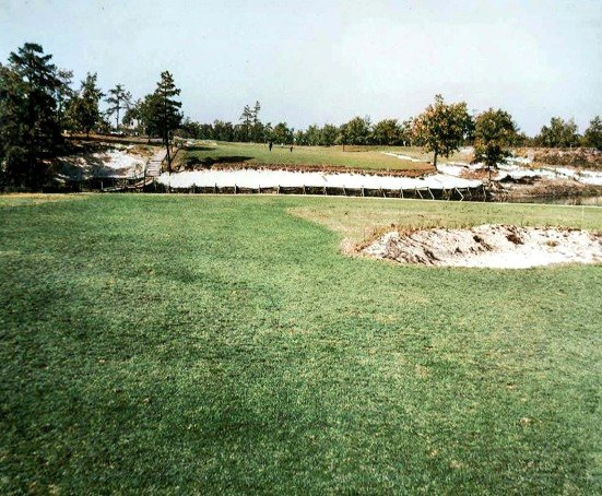 Hainesy76's tweet image. Early pictures of the par 4 home hole at Pine Valley taken over a century ago. Crump on the green along with the famous, but short-lived "pimple"👊