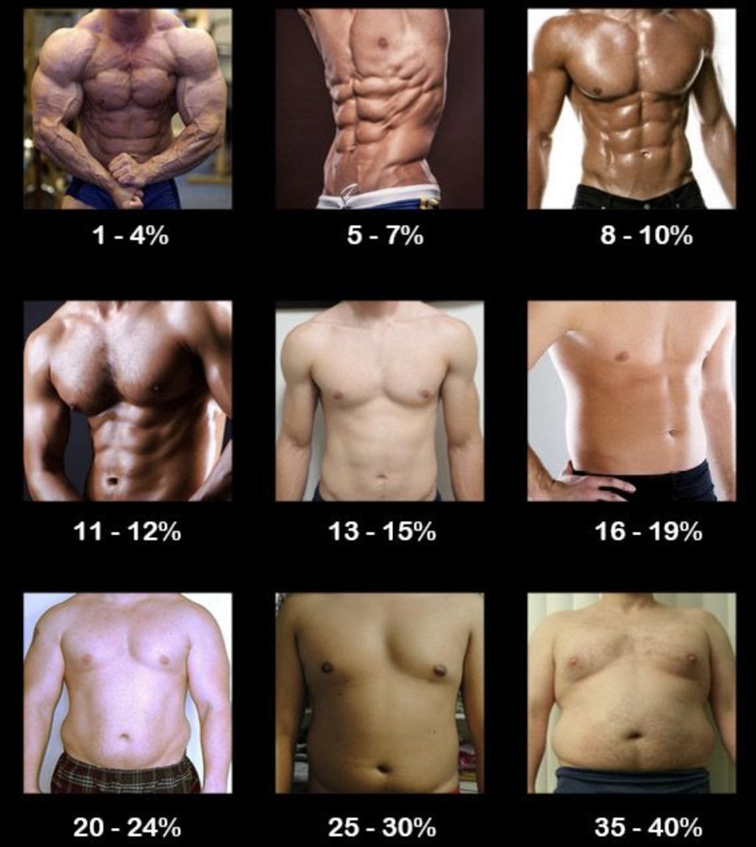 Your body fat percentage is an excellent predictor of your overall health. If you're a man over 24% body fat, read this to improve your health: