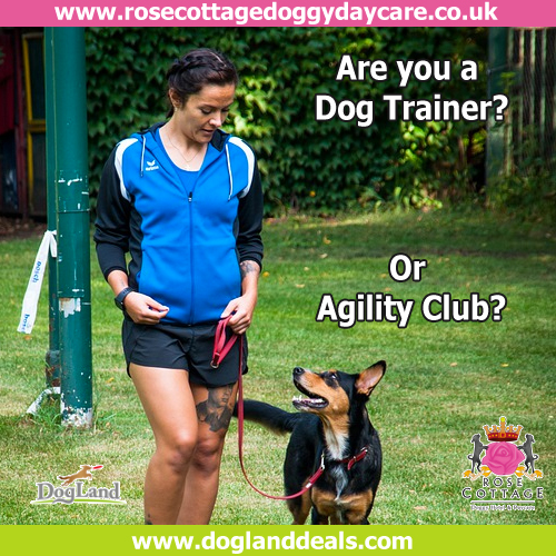 Rose Cottage Doggy Day Care🐾 tweet media