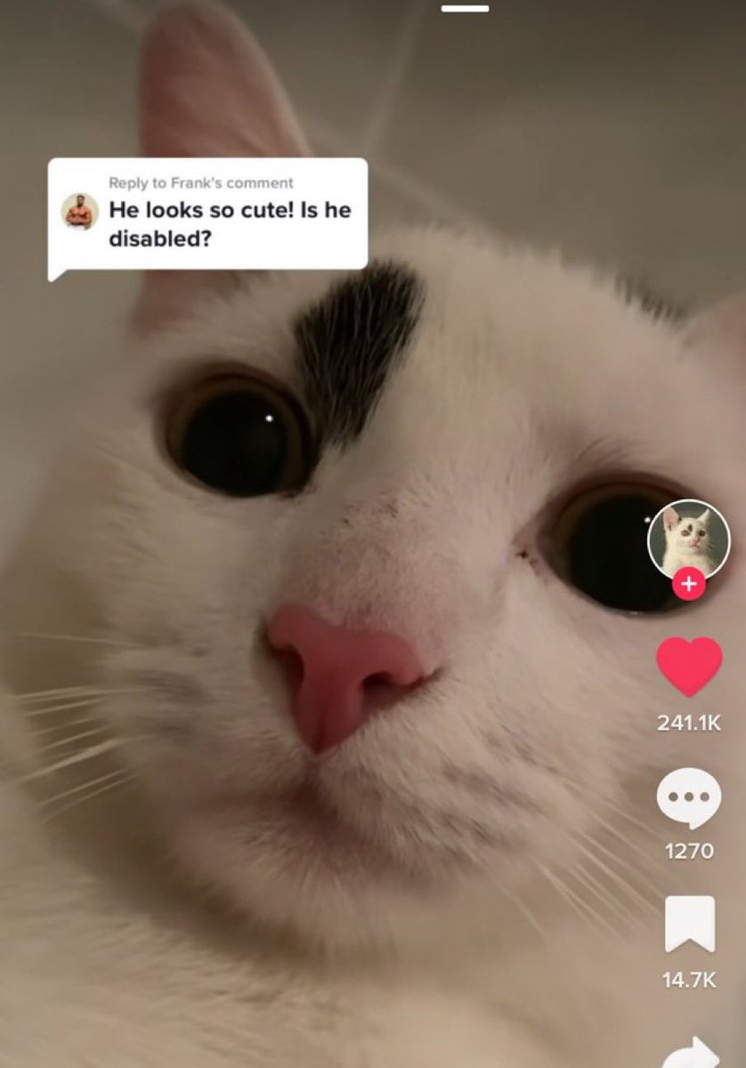 CHOAS On Twitter RT wildtiktokss 