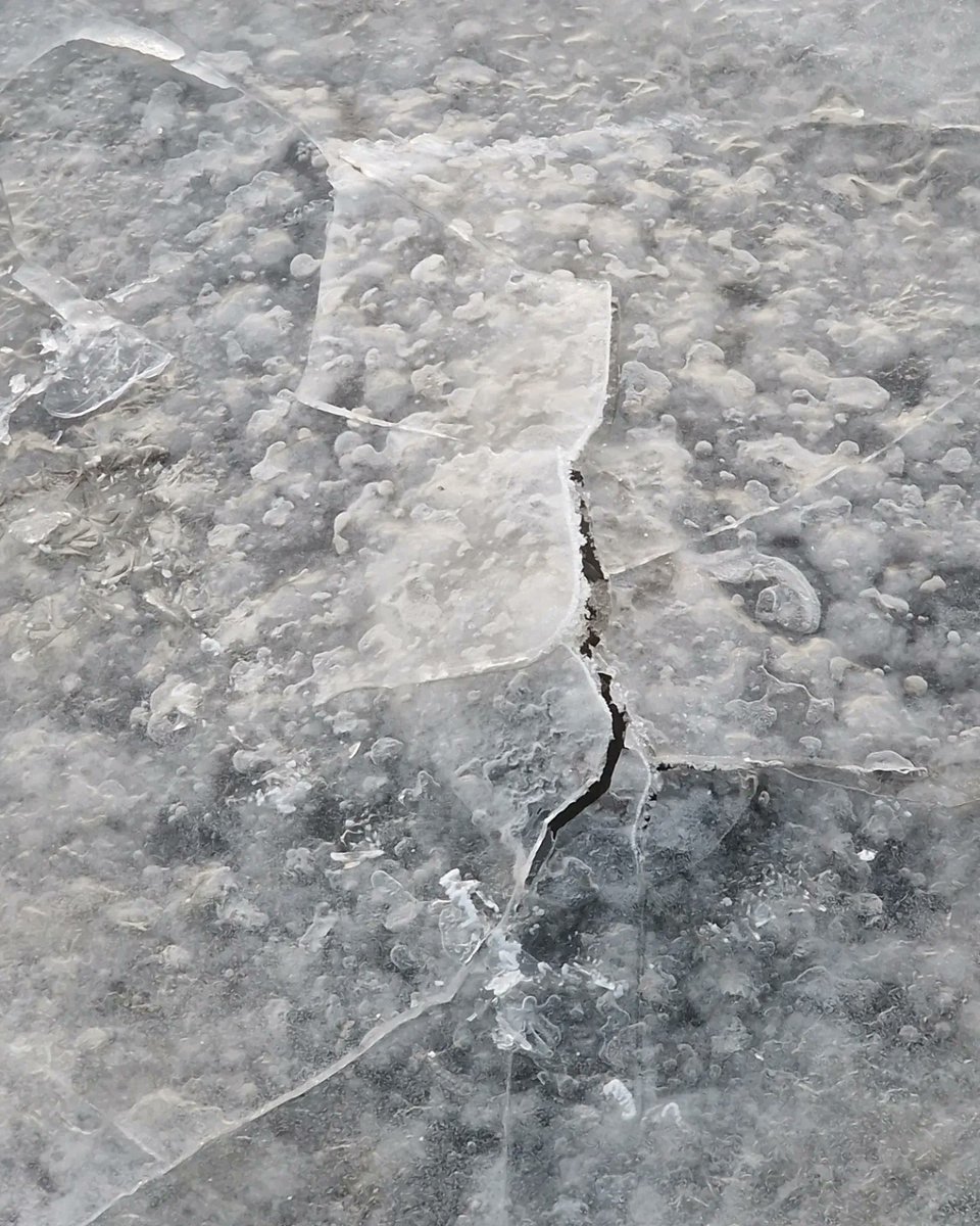 orpheusnorth's tweet photo. KIND OF ARCHITECTURE OF ICE...
Sanki buz mimarlığı gibi.Biribiriyle türlü diyaloglar içindeki çatılar, gizemli ışıklar, üzerinde yürünen dev yüzeyler altında insanlar, mekanlar kimbilir neler neler. #ice #snow #icearchitecture #mothernature #cityscape #eläintarhanlahti #finland https://t.co/Hz8iJuxul2