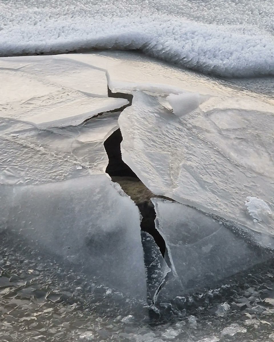 orpheusnorth's tweet photo. KIND OF ARCHITECTURE OF ICE...
Sanki buz mimarlığı gibi.Biribiriyle türlü diyaloglar içindeki çatılar, gizemli ışıklar, üzerinde yürünen dev yüzeyler altında insanlar, mekanlar kimbilir neler neler. #ice #snow #icearchitecture #mothernature #cityscape #eläintarhanlahti #finland https://t.co/Hz8iJuxul2