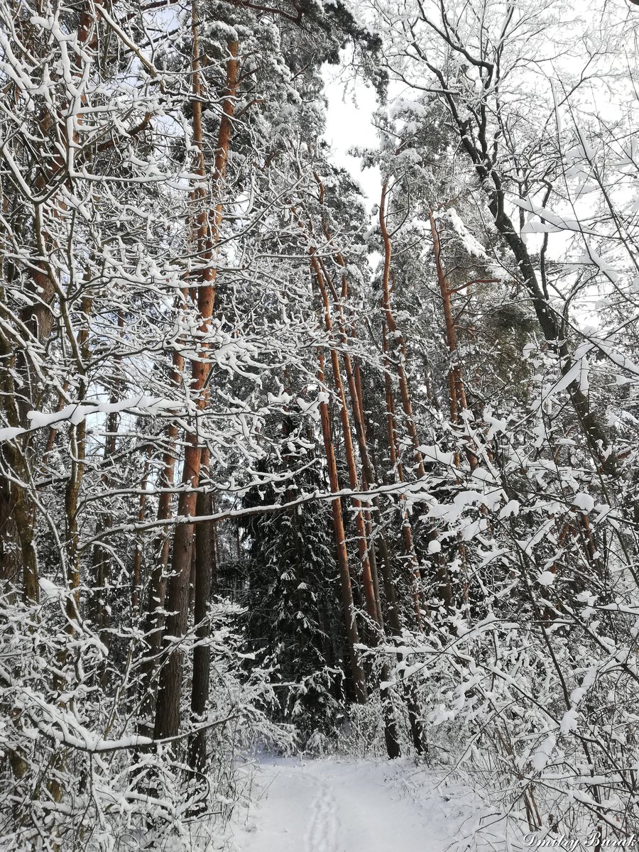 𝓦𝓲𝓷𝓽𝓮𝓻

#winter #wintertime #winterlandscape #winternature #winterphotography #winterphoto #winterwalks #nature #photography #naturephotography #walking #walk #landscape