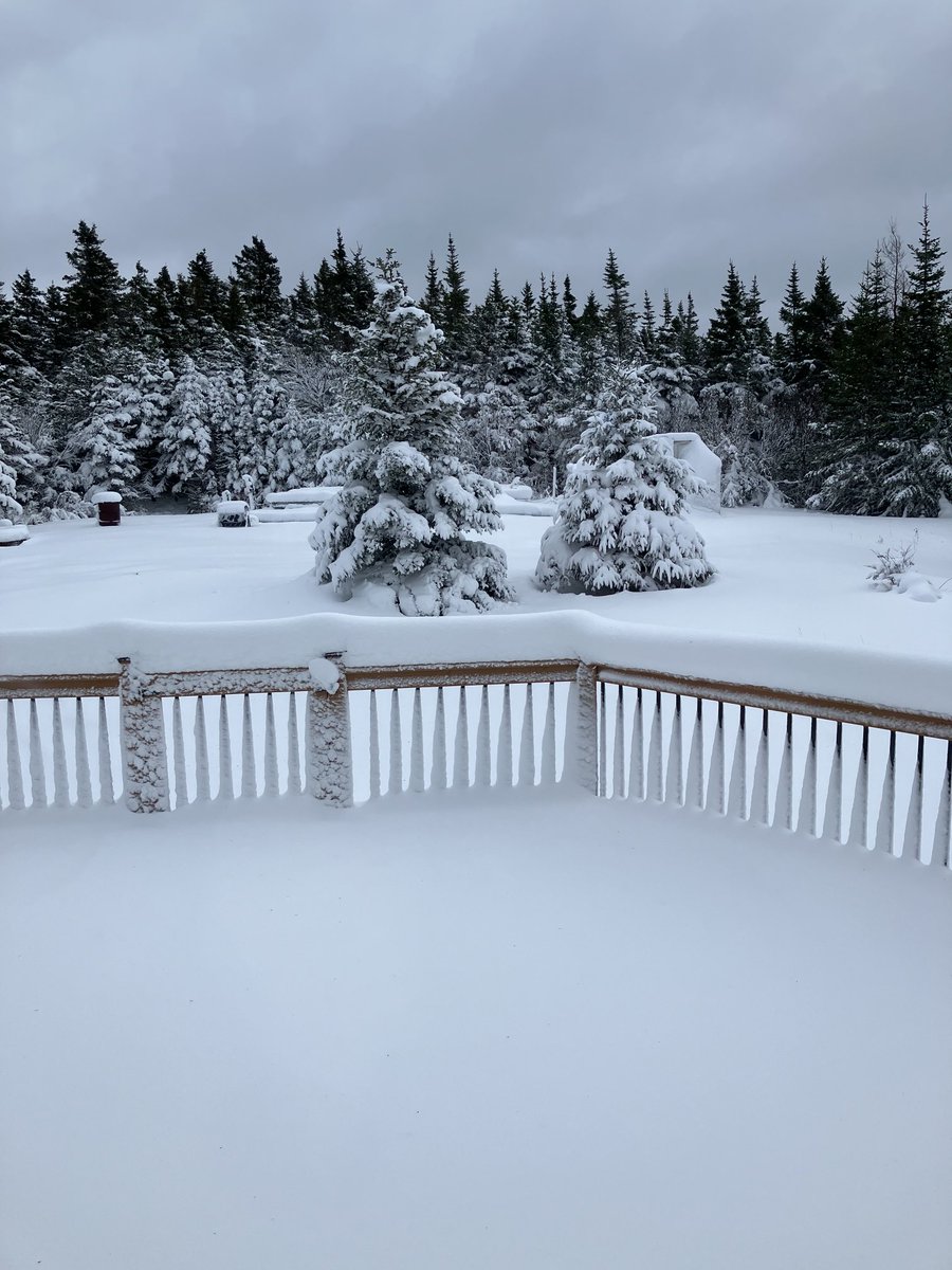 What a difference a day makes! 🎵😊 Green grass to this in 24 hours!