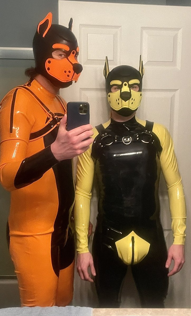 There’s a new yellow pup in town😜
(ft <a href="/PupSlugger/">Slugger</a> and his luscious locks)