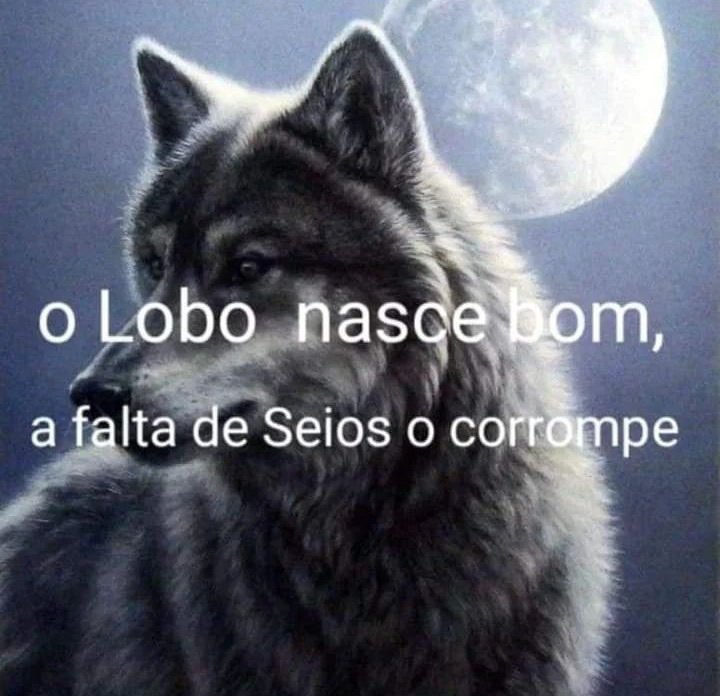 moreiraviw's tweet image. 