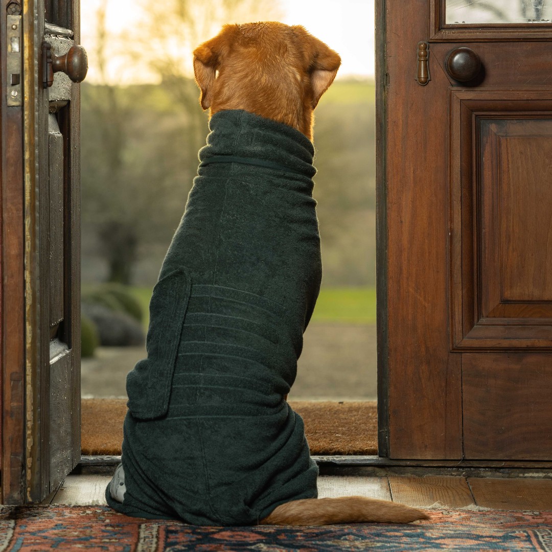 RuffTumbleCoats's tweet photo. Ruff and Tumble Drying Coats - comfort after chaos.
L new Forest in pic: https://t.co/R1tXDZzgfn
#ruffandtumble #dryingcoats #bestdryingcoats #dogdrying #dogwet #dogcold #colddogs #wetdogs #smellydogs #hairdryingdogs #bigdogtowel #dogdrying #dogrobe #dogtowel #toweldryingdogs https://t.co/pbjsYV3THL