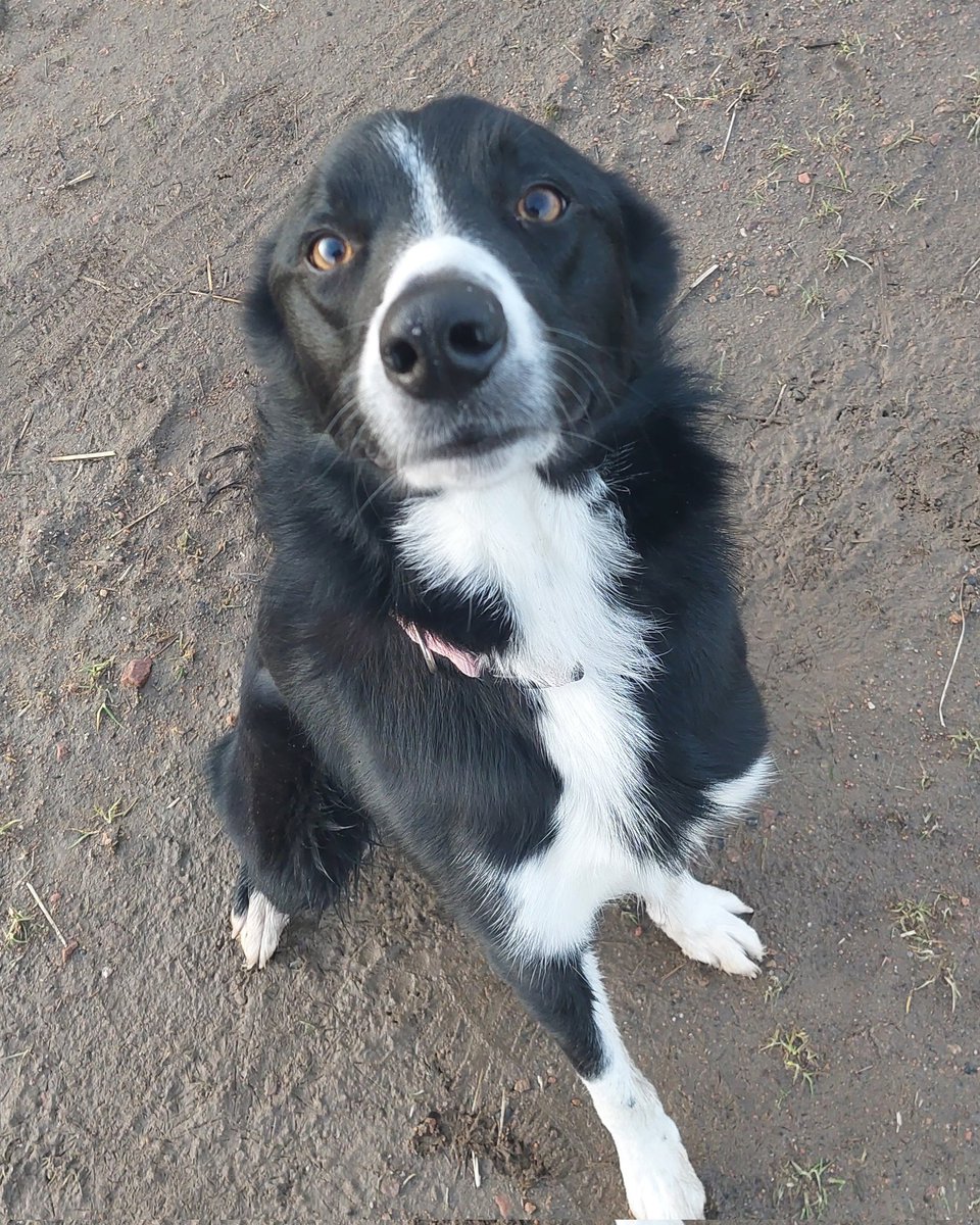 mcjonesedu's tweet photo. Don't you just hate it when your running partner asks you to tag her into your Strava activity? #cheating https://t.co/pzINKCGyK8