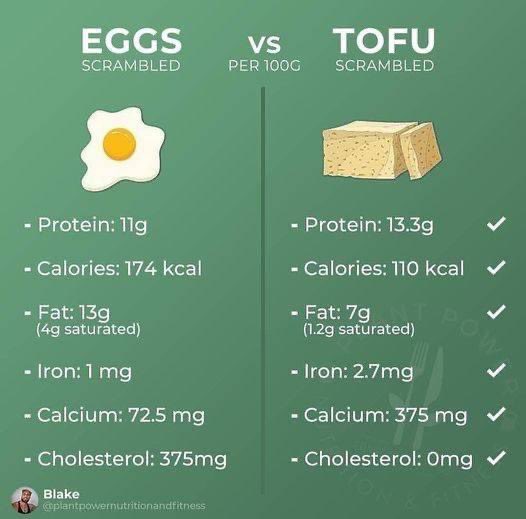 vivaluvegan tweet picture