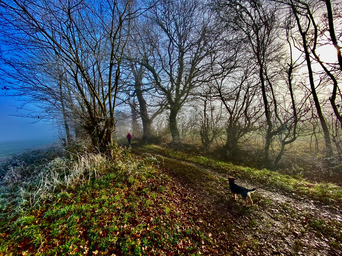 RealGeoffBarton's tweet photo. The view from here: our walk this afternoon amid lingering fog, and thin, wintry sunshine. Now back for recuperation in front of the fire - some more than others. #FeelsLikeSunday https://t.co/G6gMrBk7ug