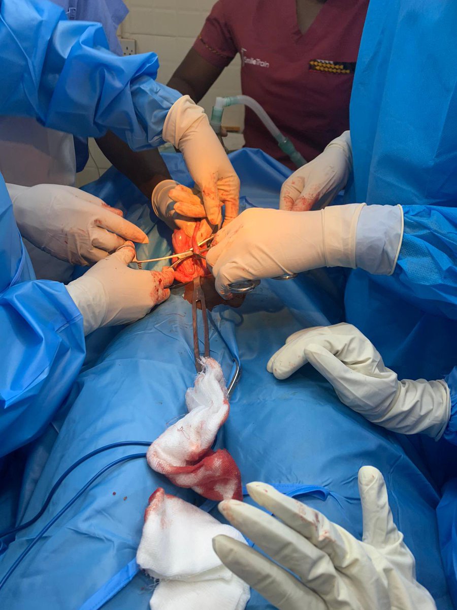 OfficialGARD tweet media