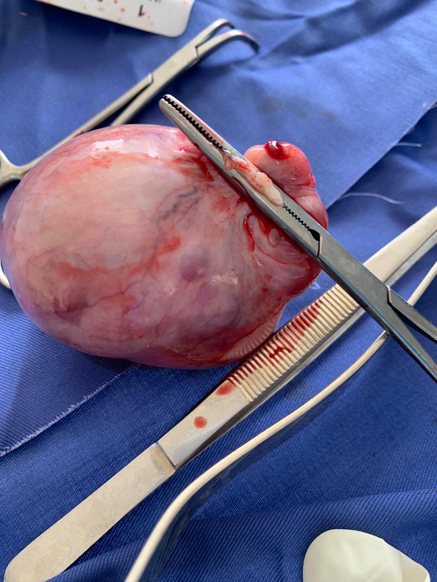 OfficialGARD tweet media