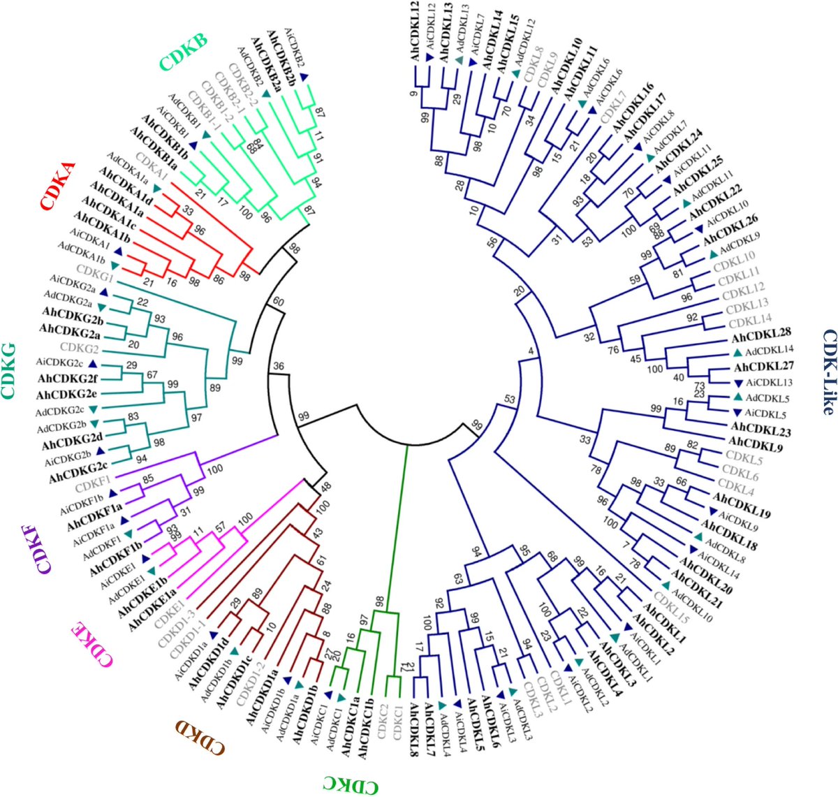 Plant Signaling Lab (@plantsignlab) on Twitter photo Congratulations to Gokul Babu S (BSMS 2016) and Deependra Singh Gohil <a href="/anthophile_dg/">Deependra</a> for the recent publication "Genome-wide identification, evolutionary and expression analysis of the cyclin-dependent kinase gene family in peanut" on BMC Plant Biology
bmcplantbiol.biomedcentral.com/articles/10.11… Congratulations to Gokul Babu S (BSMS 2016) and Deependra Singh Gohil <a href="/anthophile_dg/">Deependra</a> for the recent publication "Genome-wide identification, evolutionary and expression analysis of the cyclin-dependent kinase gene family in peanut" on BMC Plant Biology
bmcplantbiol.biomedcentral.com/articles/10.11…