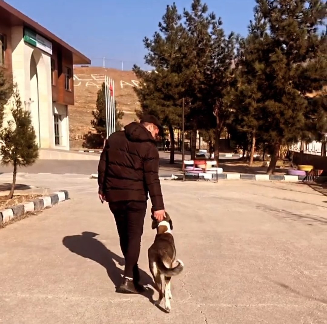 O kadar özlemiş ki anlatamam.🐾