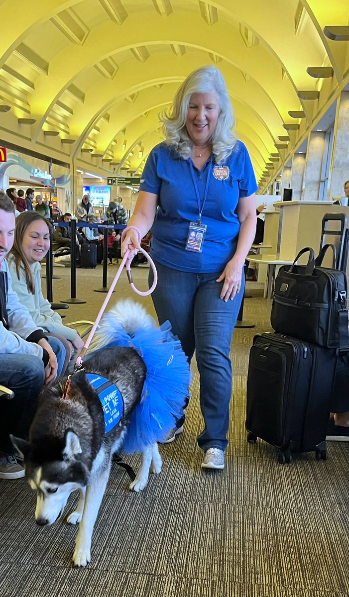 JeannetteCeja's tweet photo. Yay! Today, I *finally* got to meet an #airport therapy dog, and her name was Lava! 🐾 What a great way to start my Sunday flight at @JohnWayneAir! ✈️ #Travel @APTherapyDogs https://t.co/kE3TvRjaPa