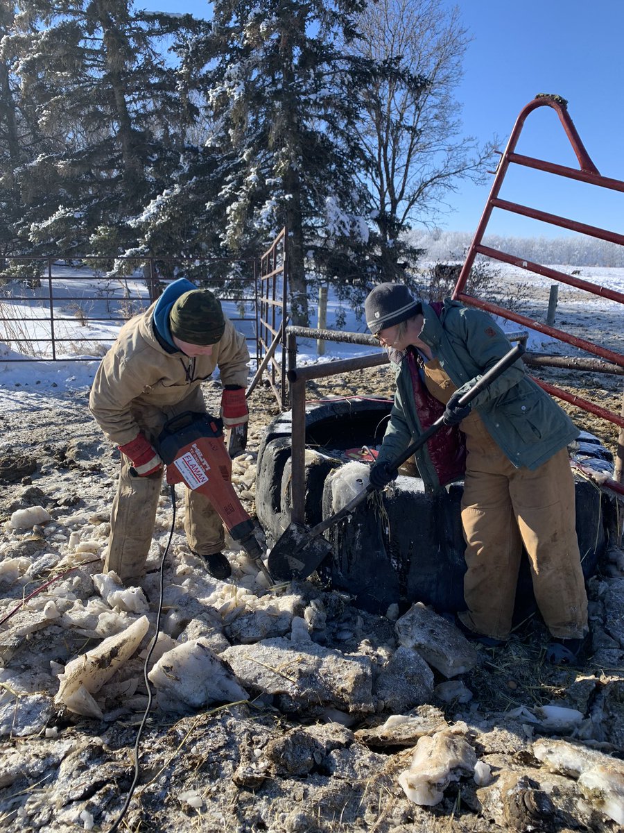 gbtangus's tweet photo. Concrete business type work without the concrete business type pay. #ranchwork #frozentundra #saskwinters #weekendsoff? #workwithoutpay https://t.co/OnKUbf24C4