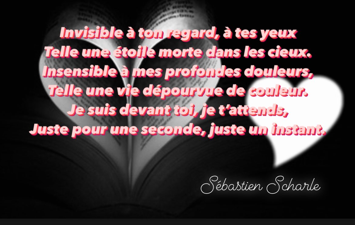 Sébastien_Scharle_auteur (@seb_scharle) on Twitter photo 