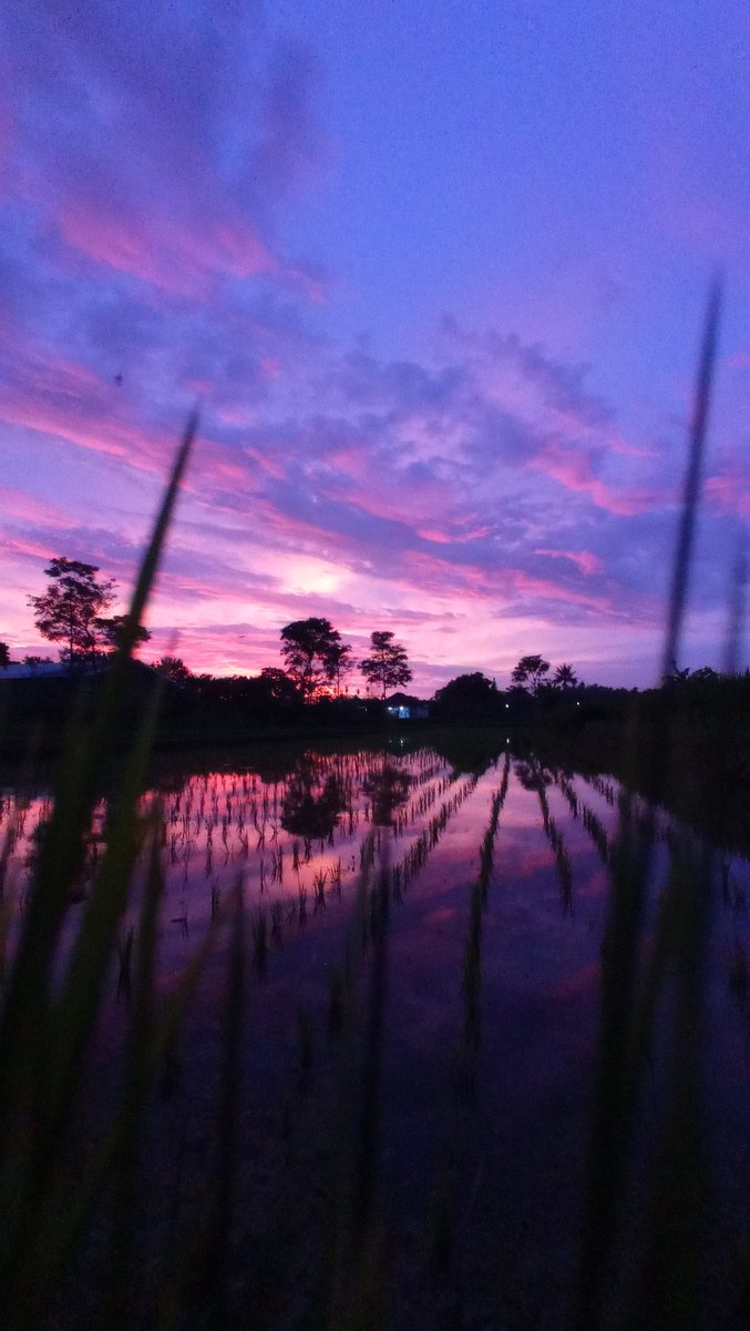 llukashari's tweet photo. @merapi_uncover https://t.co/wqijHbHMT6