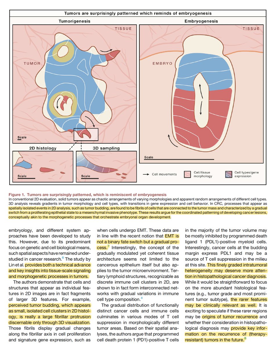 Eric Topol tweet media