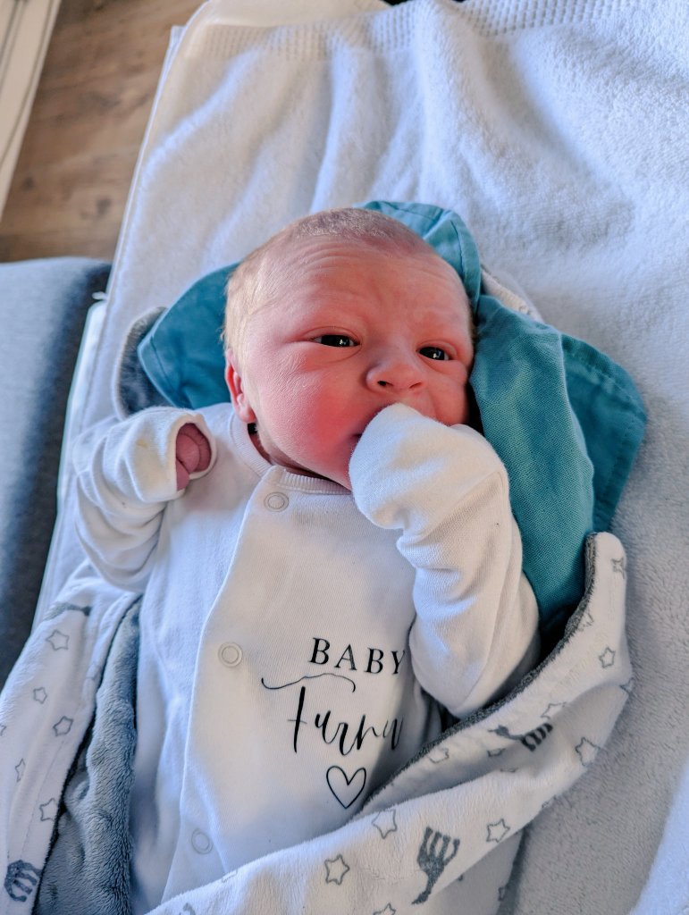 Palace on tour tweet media