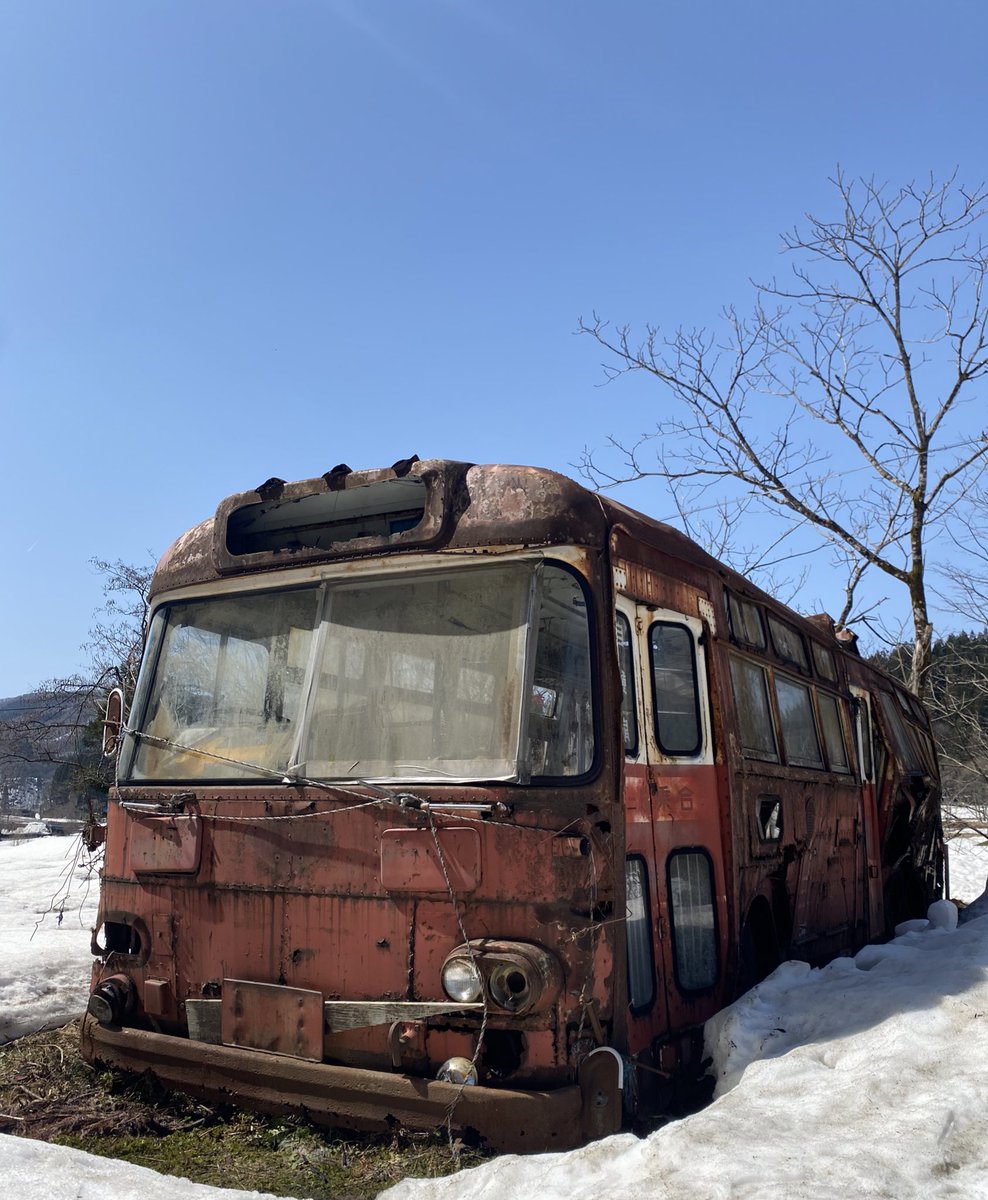 ppcpprrt's tweet image. 