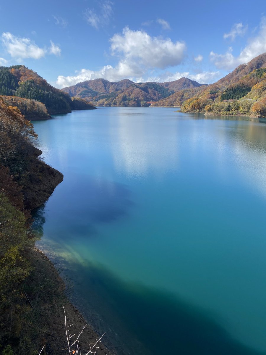 ppcpprrt's tweet image. 