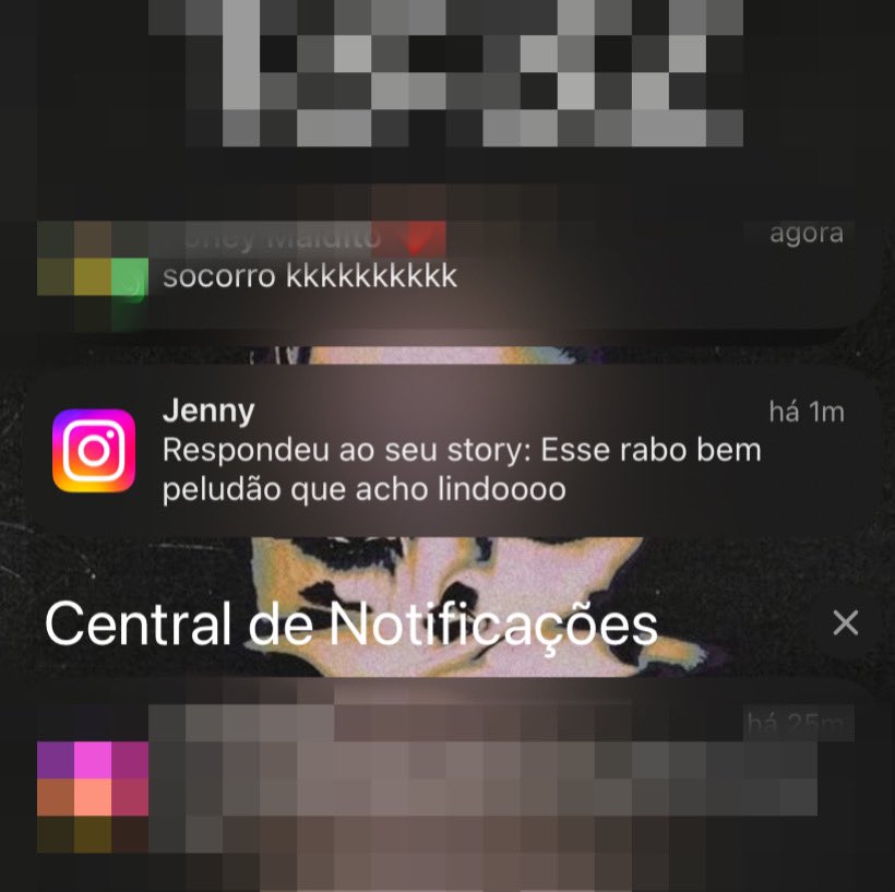 tomaznocool's tweet image. entrei em pânico por alguns segundos, aí lembrei que postei um story com minha gatinha