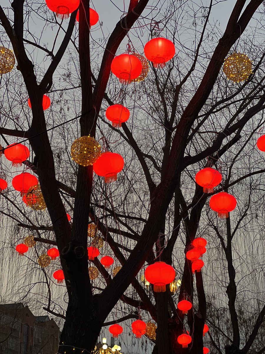 wjx0927's tweet photo. Happy Chinese New Year! https://t.co/qH7LgGDjAQ