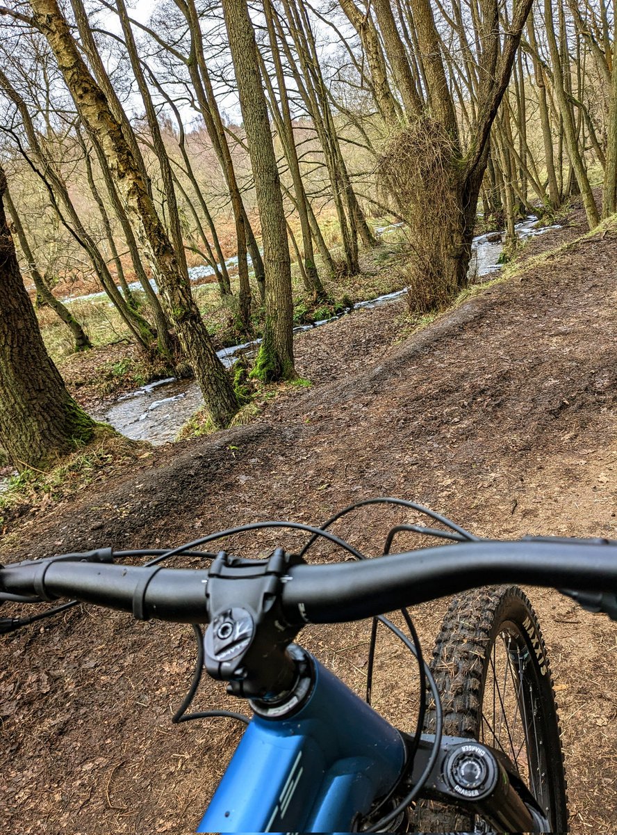 CloudBusiness9's tweet photo. A cold but gorgeous day to be out on the #mountainbike in the forests of #Staffordshire 560 calories burned & feeling energised. #ebikes #ebike #CannockChase #mountainbiking #WhyteBikes https://t.co/EDBZWDIAgF