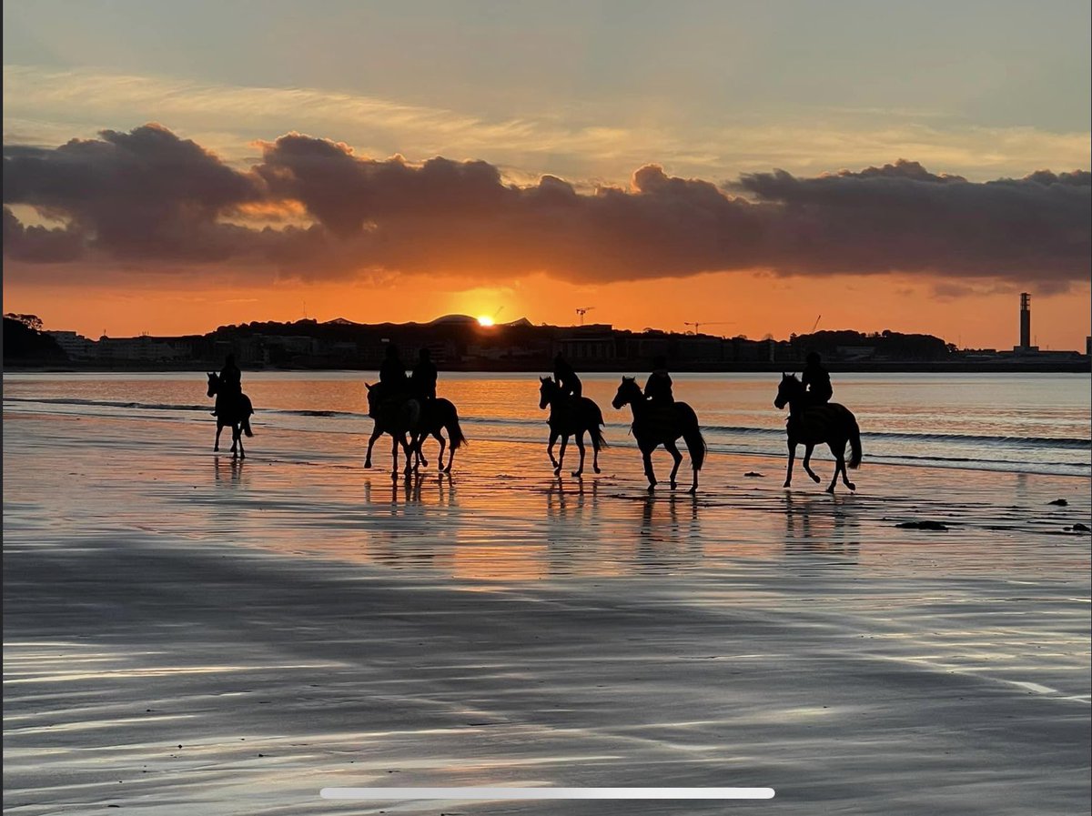jerseyraceclub's tweet photo. Only 77 days to go until the first meeting & we canβt wait!!
#RollOnEaster #JerseyRacing
πΈ Alyson Malzard https://t.co/8JxyCV30I0
