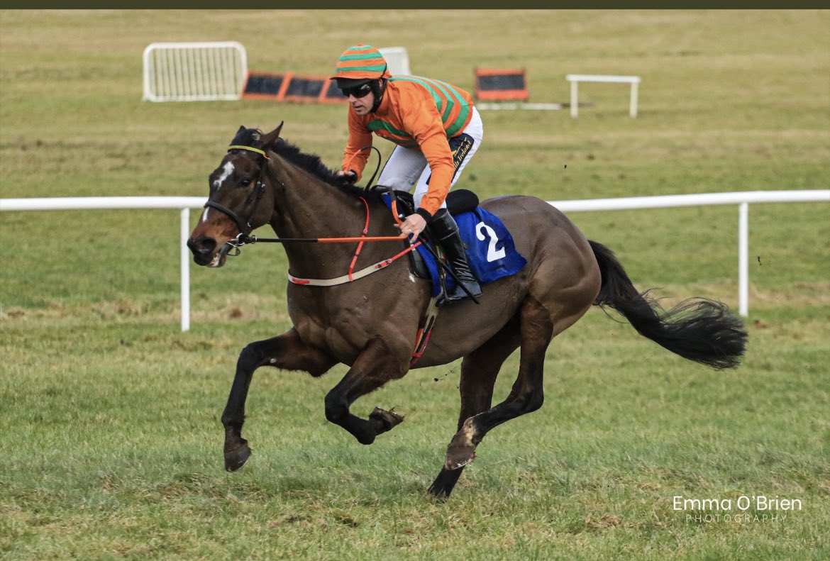 What a beauty and a beast!!! 🙌 Well done to all the connections of Ferns Lock! <a href="/DMC_Racing/">David Christie</a> <a href="/RayNicholas5/">Ray Nicholas</a> <a href="/bononeill1/">Barry O Neill</a>. Sold @tattscheltenham festival sale by <a href="/peterflood8/">peter flood</a>