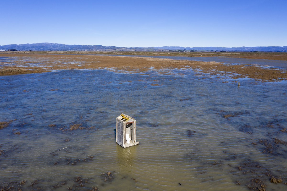 The Lone Toilet is out of order #KingTides