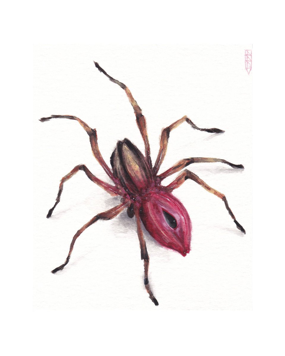 sloppjockey's tweet photo. legged . all gouache watercolor https://t.co/pem35zA2JK