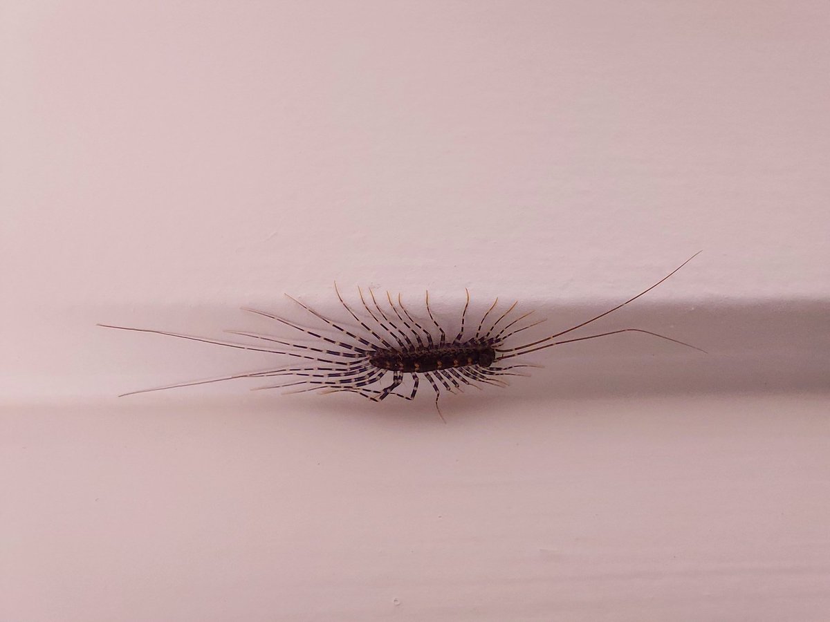 Andrew Francis tweet media