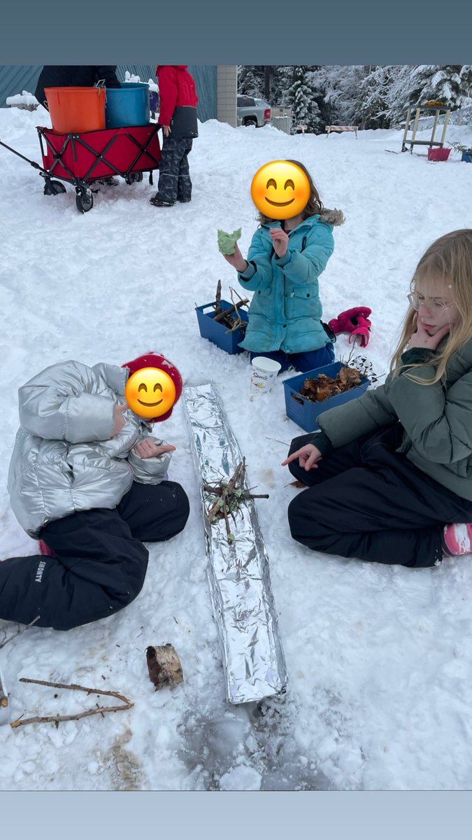 The Beaver is a diligent and collaborative worker. We learned from Beaver this week by collaborating with our peers during a STEM project to build our own Beaver dams. How have you been like Beaver this week? 🦫 <a href="/Likelylynx/">Likely School</a> #sd27
