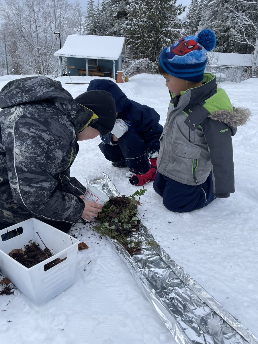 Mariah Bouchard tweet media