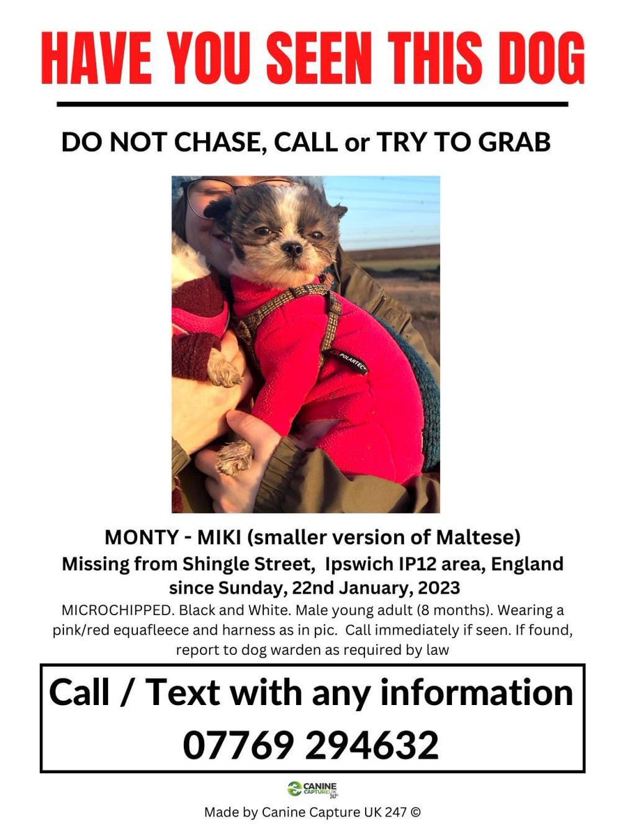 ‼️SIGHTINGS URGENTLY NEEDED - please ring the number on poster if seen‼️ MONTY IS #MISSING in the Shingle Street area of #Ipswich, #IP12, England, since Sunday, 22/1/23 m.facebook.com/groups/6863458… @ipswichstar24 @_ipswichnews @JacquiSaid @joannew0112 @HunnyJax @juliagarland73