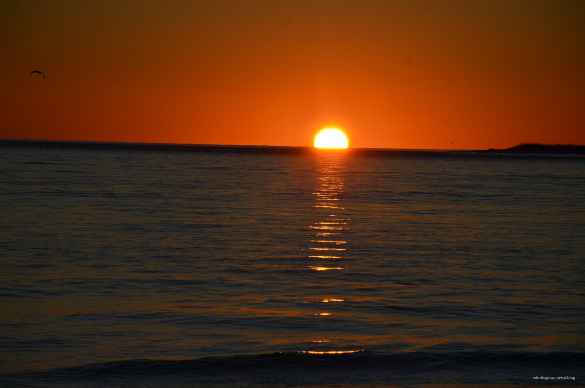 windings2unwind's tweet photo. Florida and Gulf Shores - 4 beaches, 4 heavenly sunsets. 

Okaloosa Pier
Fort Pickens Beach
Fort Morgan Beach
Pensacola Beach

#Florida #beach #sunset #sunsetlovers #roadTrip #NaturePhotography #nature #gulfshore https://t.co/0TdMxmyJ5p