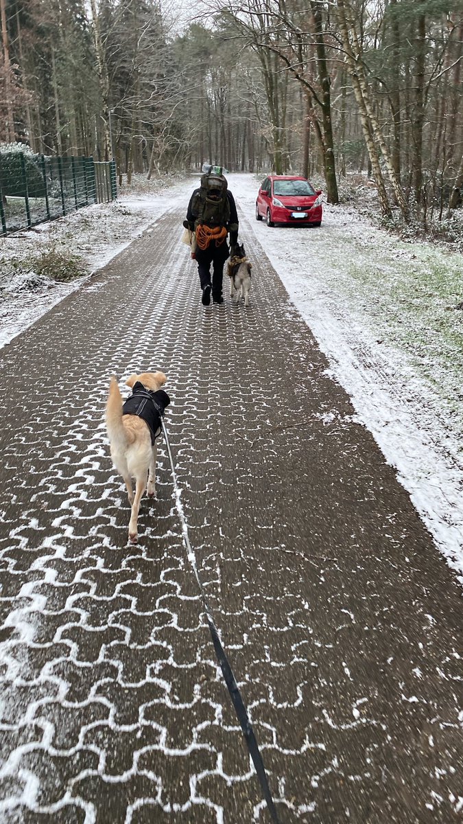 Der Hund hat ihre erste Übernachtung im Wald überlebt. 👌Es waren wohl etwas viele Eindrücke heute Nacht, sie hat tagsüber noch mehr geschlafen als sonst. Ihr hat’s aber sichtlich gefallen (zumindest die Wanderung zum Schlafplatz und zurück 😉)