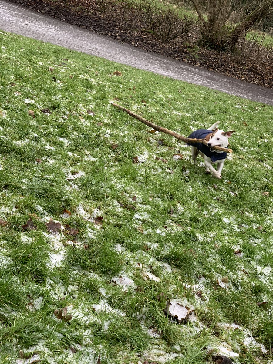 Elizabeth tweet media