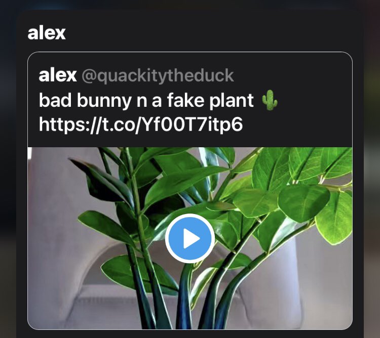 quackityprivatz's tweet photo. QUACKITY PRIVATE TWEET 
deleted https://t.co/fZPUyWPGgI