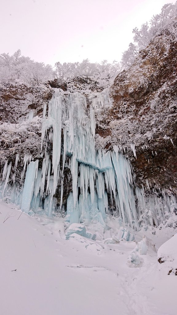 SkiBoardshopNRS's tweet image. 折れた氷瀑❄️もカッコいい❗
氷瀑の欠片を集めて氷瀑ハイボール🍺にします🎵
本日1/23(月)は誕生会なのでお休み となります🎉 明日1/24(火)はPowderTourの為、15:00-19:00となります🎿 #氷瀑 #icefall #icewall