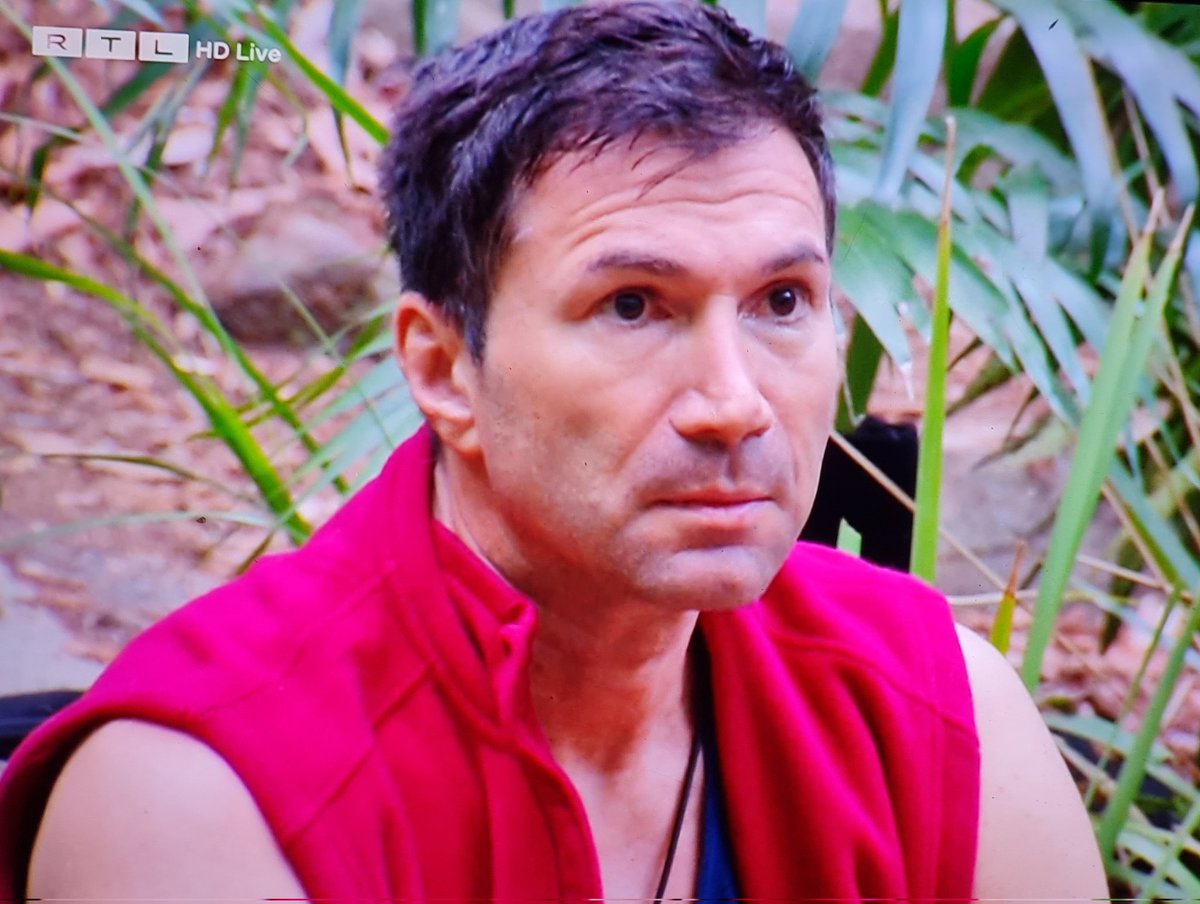myunicornisevil's tweet photo. Ich liebe gerade alles daran. Das ist mein RTL #IBES https://t.co/KrJ2Q01nn3