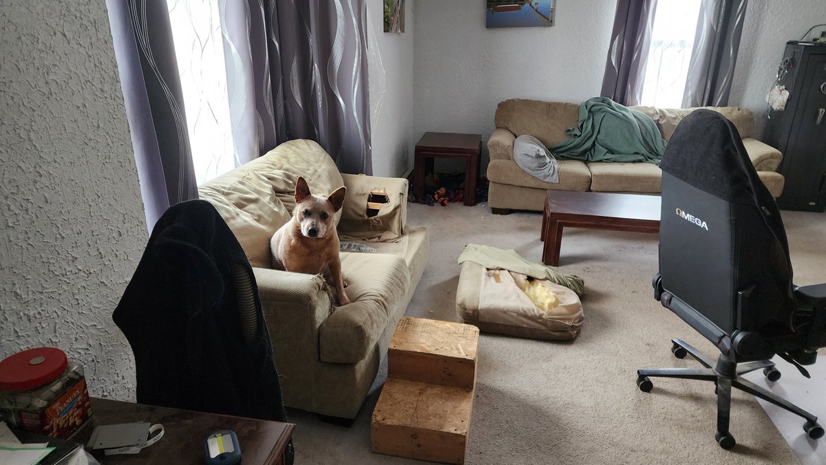 FHolocker's tweet image. Something is not pleased being trapped inside