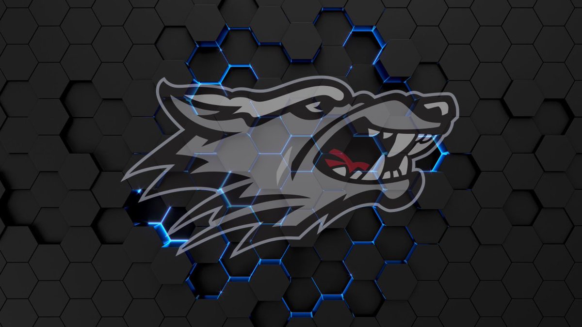 Matt Gordon tweet media