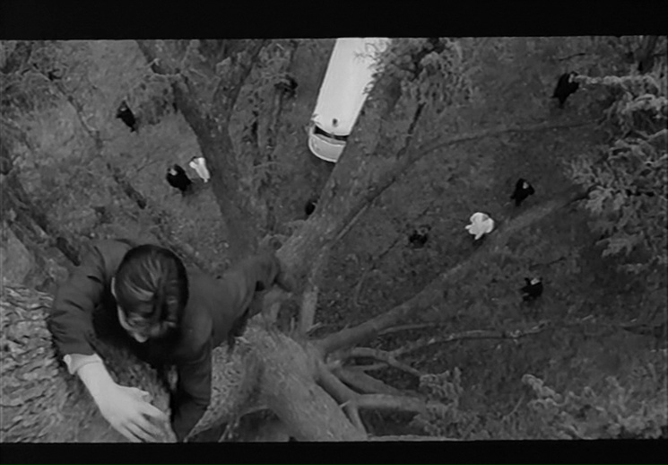 Talking of doublettes, watch Vittorio de Seta (sic!) instead. Exquisitely beautiful if somewhat sententious. (For more suicidal looneys climbing things, see 'Jean-Luc persecuté' by Goretta, 'Goupi mains rouges' by Becker). #minute38 #VittorioDeSeta