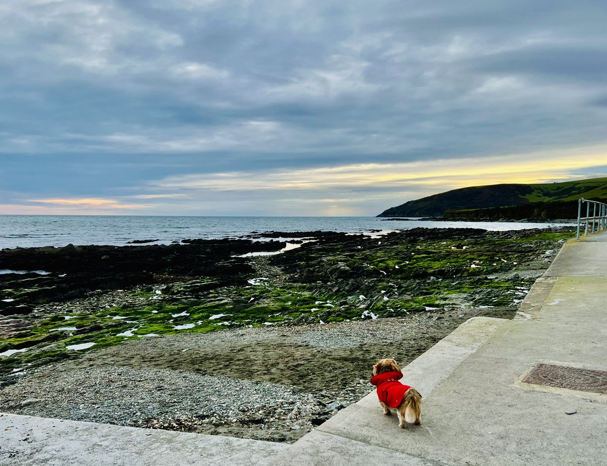bryce_isobel's tweet photo. Taking in the view at #Hannafore #WestLooe #Cornwall this afternoon. A cold, windy, winterโs afternoon but restorative nonetheless. https://t.co/uX73N23EfH
