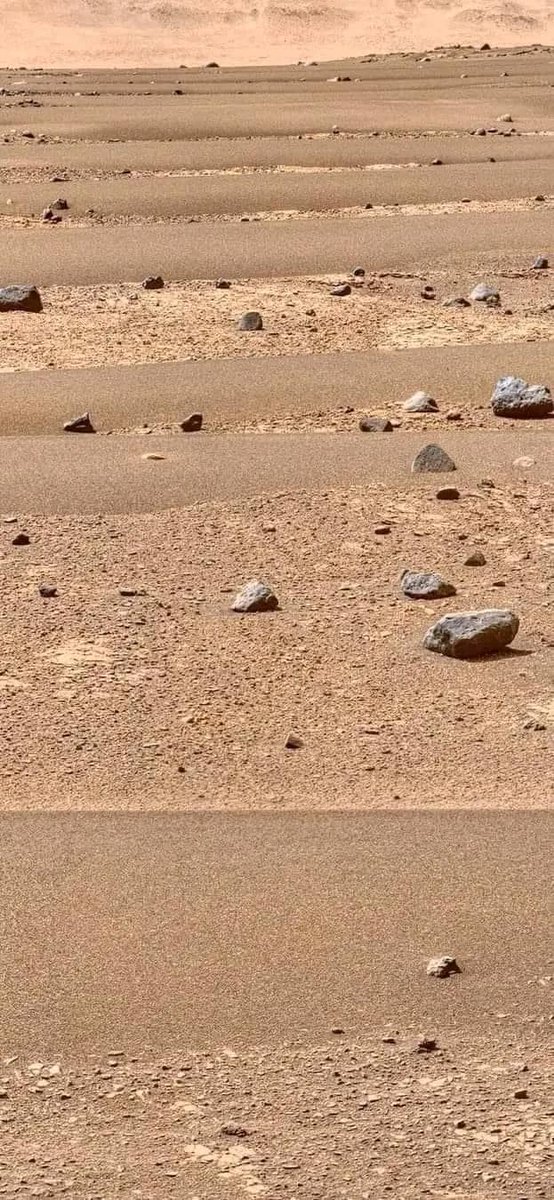 Here is the most recent view of the surface of MARS captured by NASA's perseverance rover.