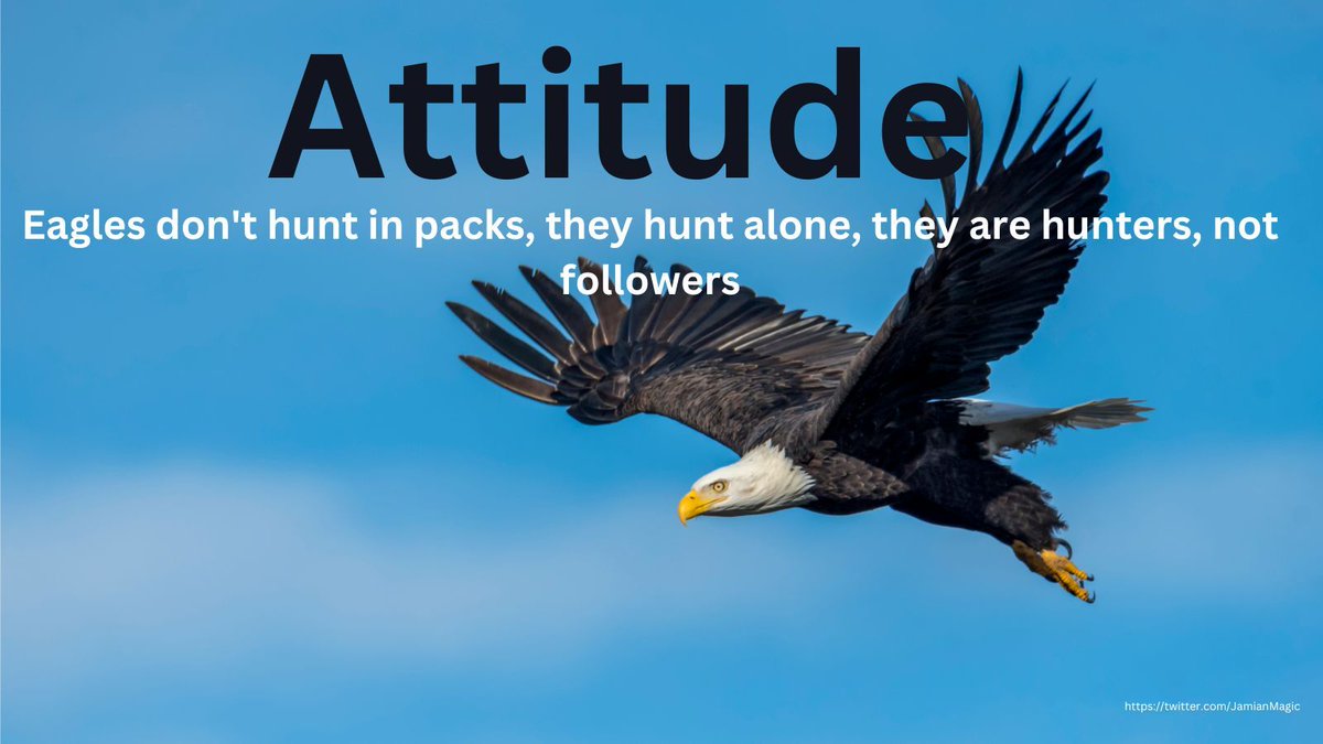 JamianMagic's tweet image. This week you need to soar above your challenges and obstacles!
#morningmotivation #needmotivation #dreams #quotes #success #inspiration #motivation #entrepreneur